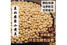 东北非转基因黄豆5斤 农家自产老品种笨黄豆打豆浆生豆芽专用大豆